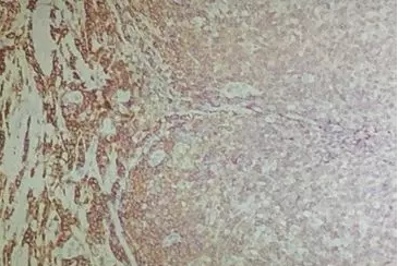 1680073697152837.png 1.png