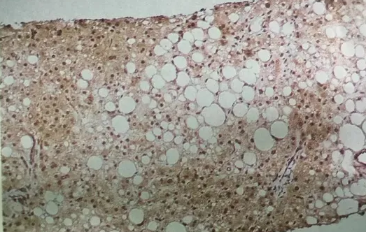 1680073706849439.png 2.png