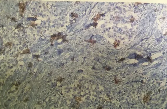 1680073713141297.png 3.png