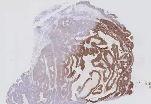 1680073728593398.png 5.png